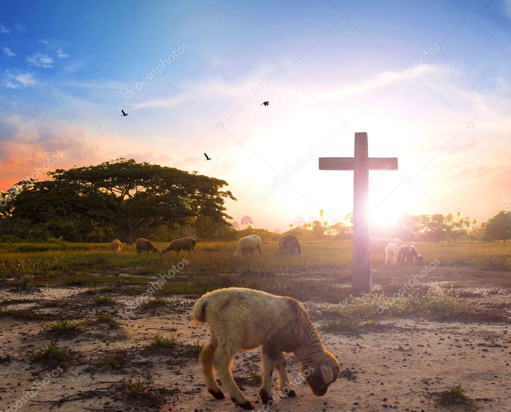   resurrection concept: the Lamb of God in front of the cross of Christ Jesus