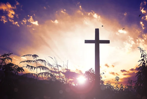 그리스도 하나님의 교회의 십자가 — 스톡 사진