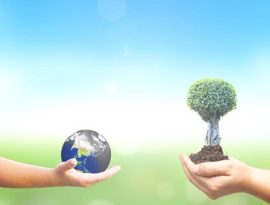 Sürdürülebilir kalkınma kavramı: kirli dünya ve yeşil ağaçlar