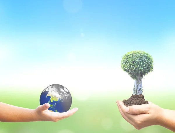 Hållbar Utveckling Konceptet Förorenad Jord Och Gröna Träd — Stockfoto