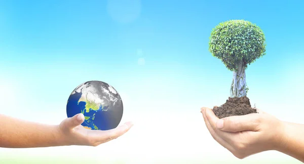 World Environment Day Koncept Holding Förorenade Jorden Och Gröna Träd — Stockfoto