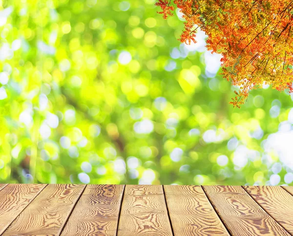 World Environment Day concept: Empty wooden table over blurred tree with bokeh background