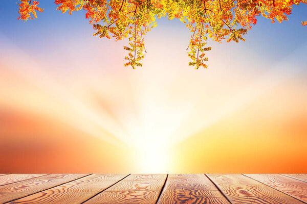 Thanksgiving concept: autumn leaves over gradient blurry sunset background