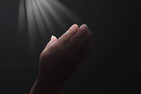 Worship prayer concept: Prayer hand - Stock Image - Everypixel