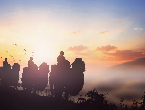 平安夜概念 三名医生骑骆驼到伯利恒 — 图库照片