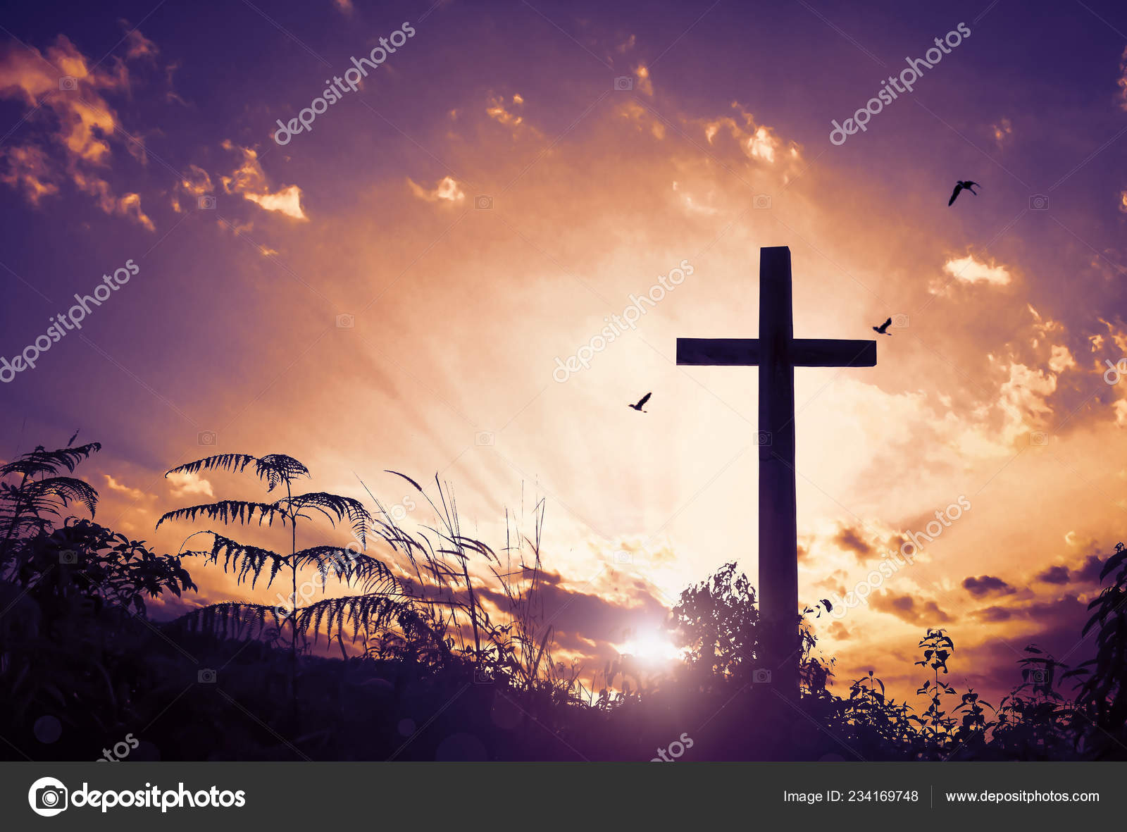 Christ Jesus Concept Cross Morning Sunrise Stock Photo by ...