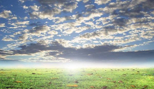 Concepto Del Día Tierra Hermosa Pradera — Foto de Stock