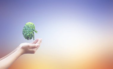 Dünya Böbrek günü kavramı: sağlık sembolik tasarım  