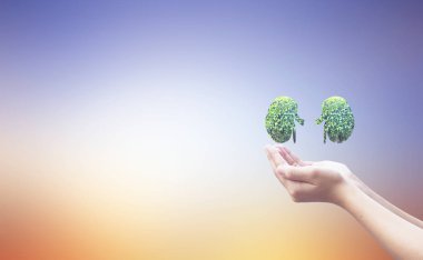 Dünya Böbrek günü kavramı: sağlık sembolik tasarım  