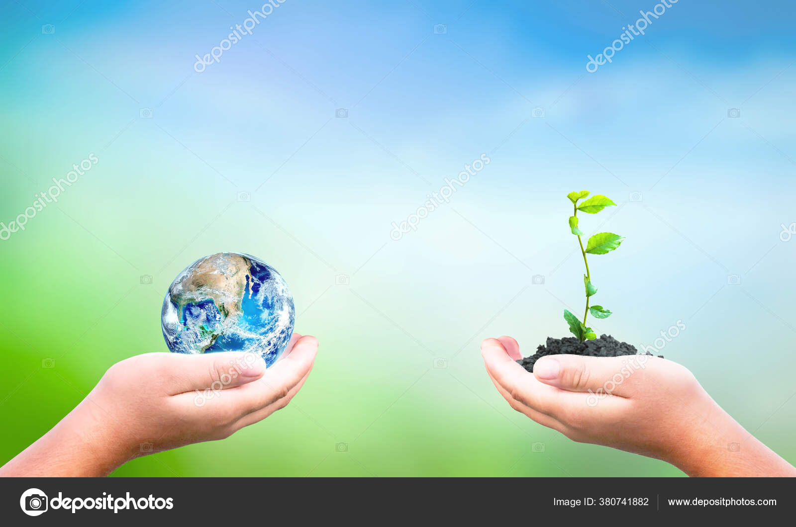 World Environment Day Concept Hand Holding Tree Planting Earth Green