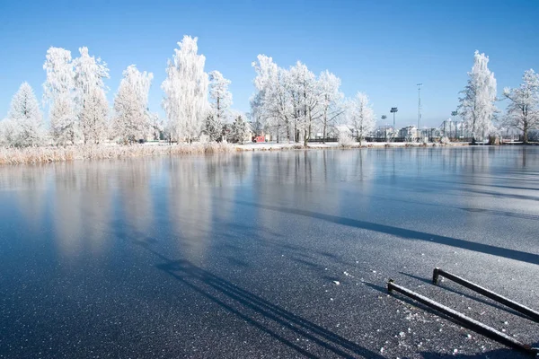 Paisaje Invernal Con Lago Árboles Trebonsko República Checa Konsky Rybnik — Foto de Stock