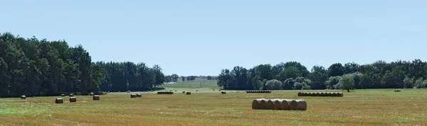 俵で干し草と農業のスカイライン 黄金風景 — ストック写真