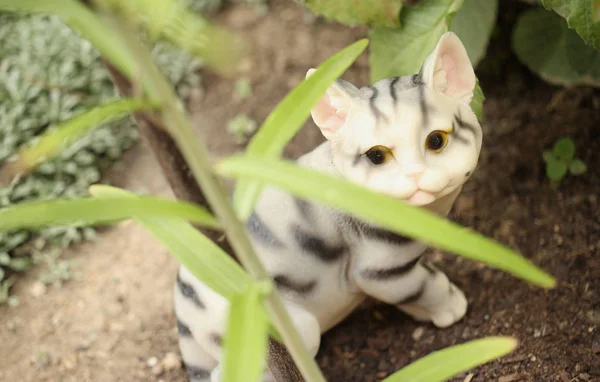 庭のベッドに座っている小さなセラミックの子猫 装飾的です — ストック写真