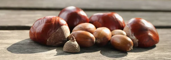 Castanhas Bolotas Sobre Fundo Madeira — Fotografia de Stock