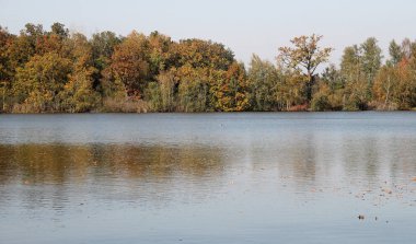 Göl ve ağaçlarla dolu sonbahar manzarası