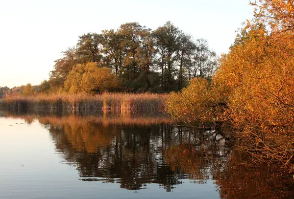 Herbstlandschaft Mit See Und Bäumen — Stockfoto