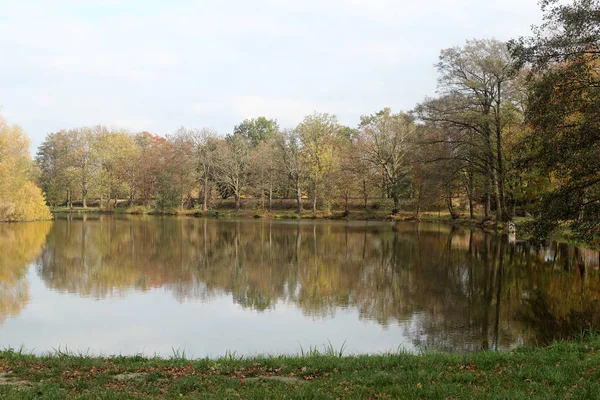 公園内の湖 — ストック写真