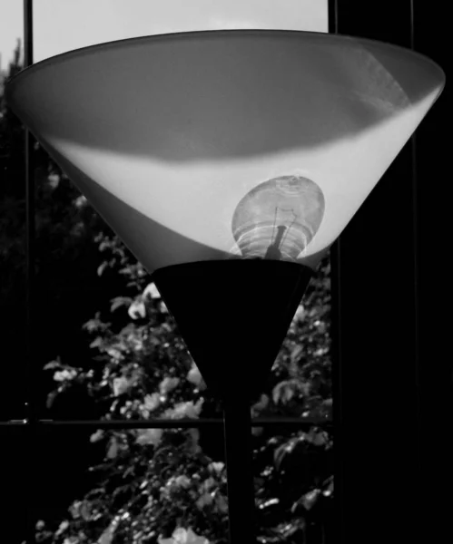 Photo Noir Blanc Avec Lampe Ampoule — Photo