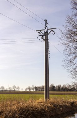 elektrik direği ve kablolar