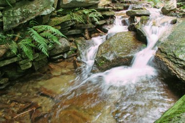 ormanda şelale, dağlar