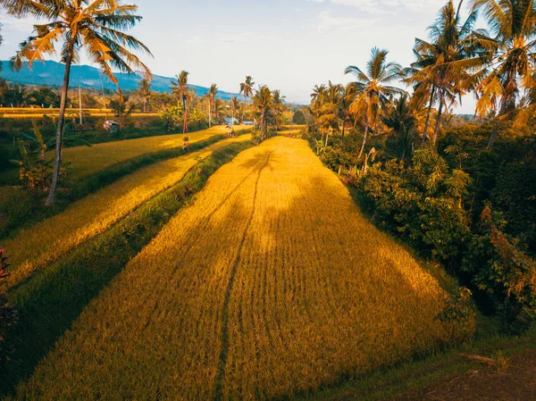 Hermoso Paisaje Bali — Foto de Stock