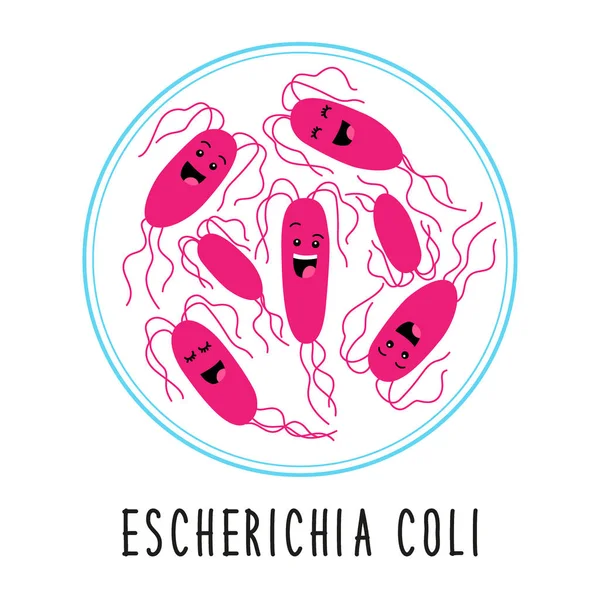 Zabawny escherichia coli bakterie rodziny kreskówki znaków na białym tle na biały, gut i flory jelitowej w płaski — Wektor stockowy