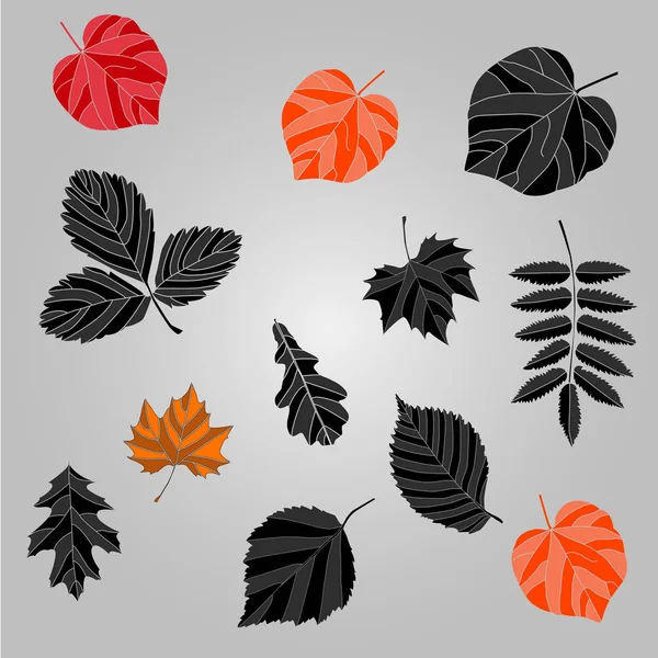 Autumn Leaves Frame Text Background Autumn Leaves — Stock Photo, Image