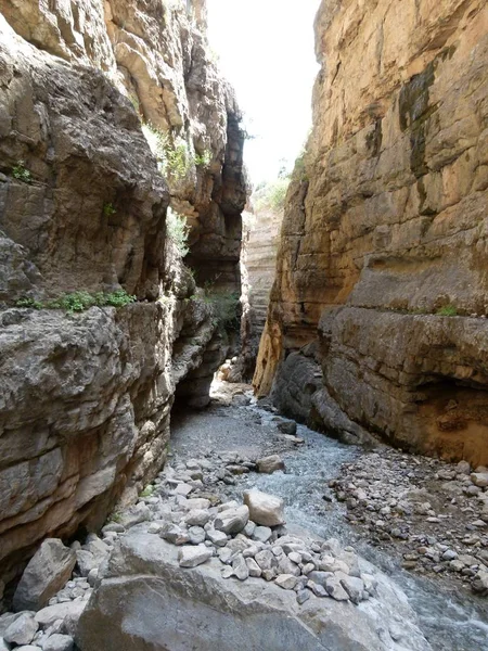 Soğuk gorge nerede buzullar su akar Koytendag.