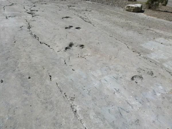 Bir lav taş Koiten, Orta Asya dağlarında bir dinozor izleri.