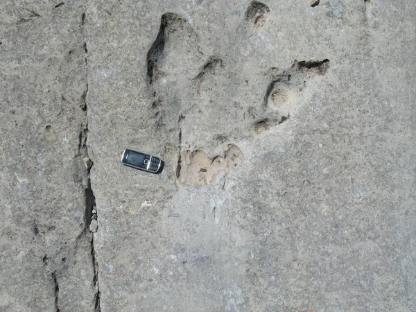 Bir lav taş Koiten, Orta Asya dağlarında bir dinozor izleri.