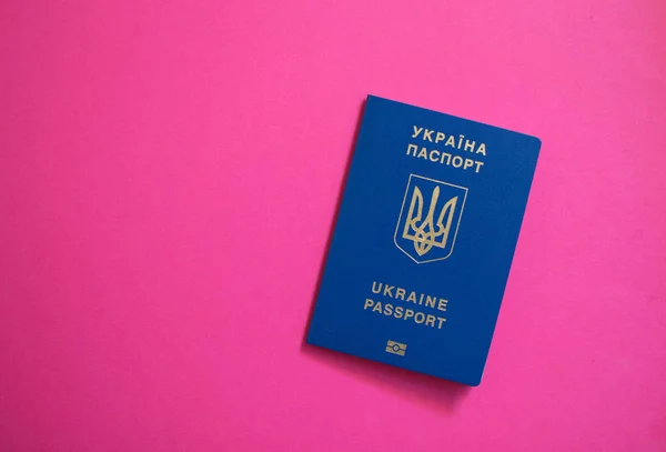 Паспорт на рожевому тлі — стокове фото