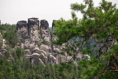 Sakson İsviçre peyzaj