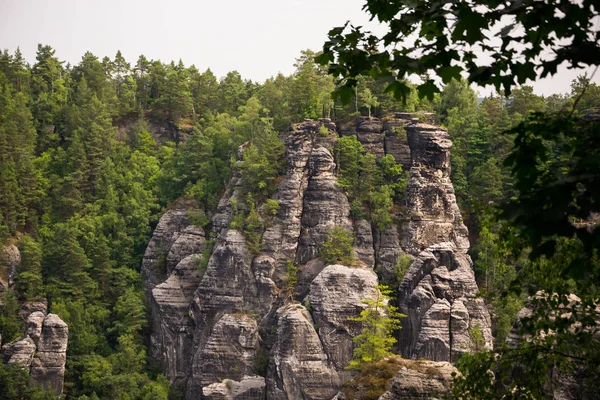 Saksonii szwajcarskiej lanscape lato zdjęcie niemiecki narodowy natura Park — Zdjęcie stockowe