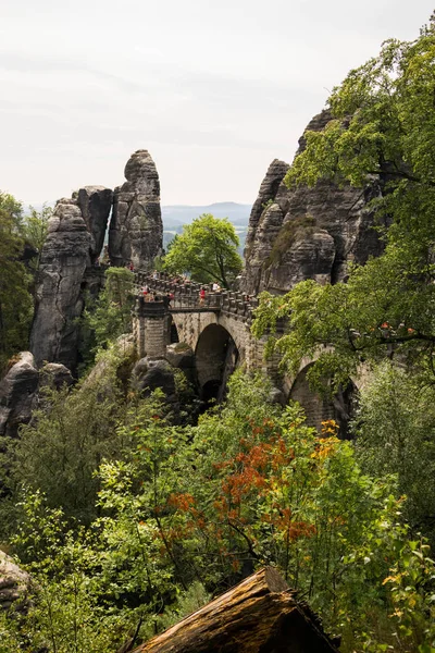 Sakson İsviçre peyzaj yaz fotoğraf Alman Milli Doğa Parkı