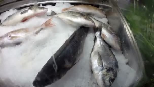 Pescado Mar Fresco Sobre Hielo Restaurante Comida Mar — Vídeo de stock