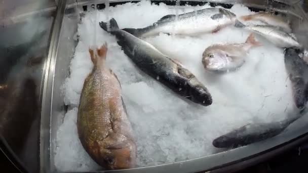 Pescado Congelado Hielo Restaurante Comida Mar — Vídeo de stock