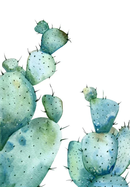 Illustrazione Cactus Acquerello Isolato Sfondo Bianco — Foto Stock