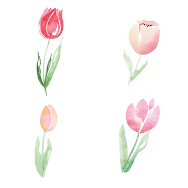 Suluboya farklı tarzlarda çizilmiş bahar lale