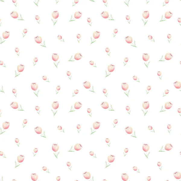 Naadloze Aquarel Patroon Met Tulpen Een Witte Achtergrond — Stockfoto