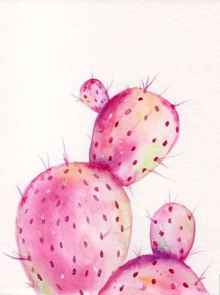 Una Tarjeta Regalo Acuarela Póster Con Cactus Color Rosa Brillante — Foto de Stock