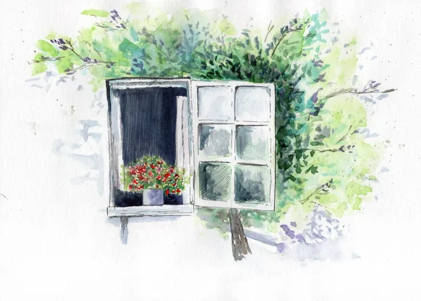 Akvarelové Ilustrace Bílého Okna Květináčem Stromem Pozadí — Stock fotografie