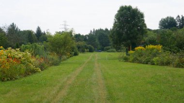 Bilder aus idyllischen Kleingrten und Schrebergrten 