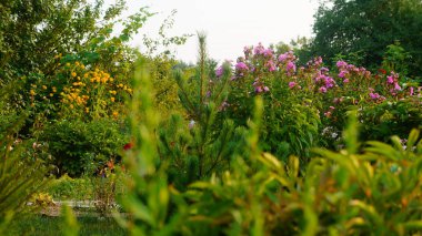 Bilder aus idyllischen Kleingrten und Schrebergrten 