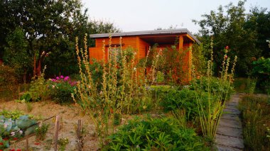 Bilder aus idyllischen Kleingrten und Schrebergrten 