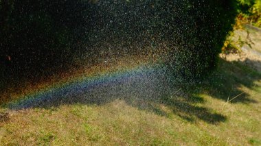 Bilder aus idyllischen Kleingrten und Schrebergrten 