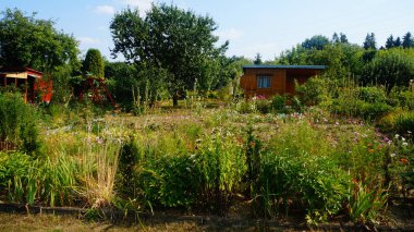 Bilder aus idyllischen Kleingrten und Schrebergrten 