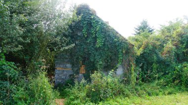 Polen 'de peyzaj ve Natur