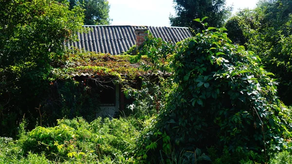 Landschaften Und Natur Polen — Photo