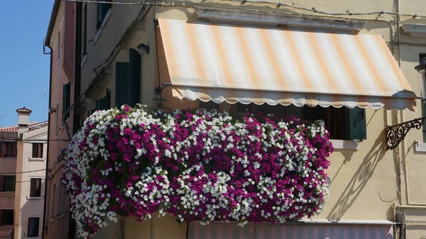 Chioggia Und Venedig Włoszech Beliebte Touristenziele — Zdjęcie stockowe