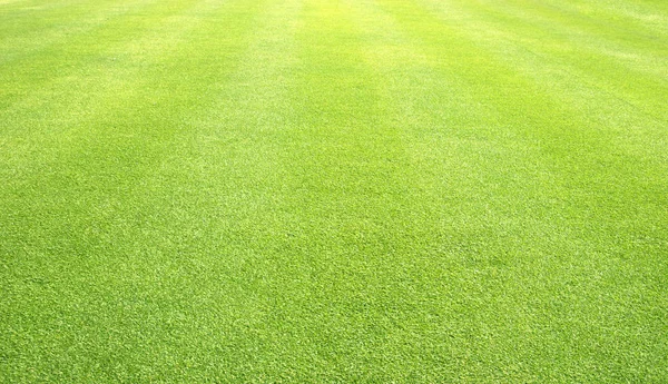 芝生背景緑の草サッカー フィールドの背景パターンします — ストック写真